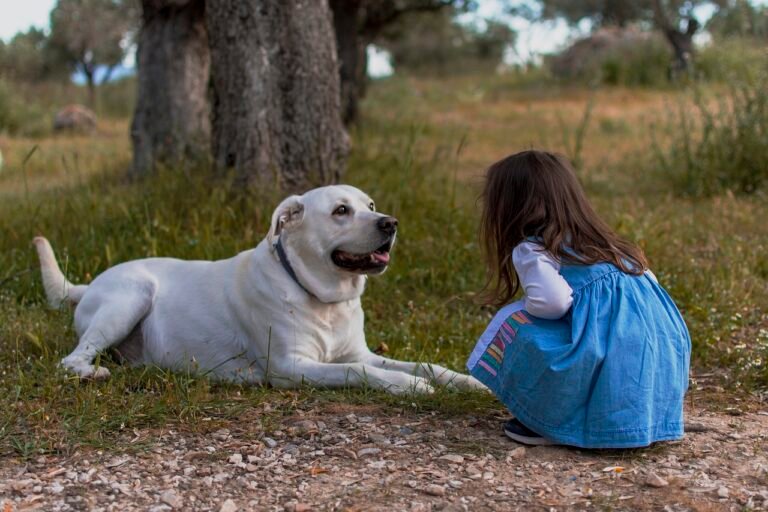 kid, dog, outdoors-5718703.jpg